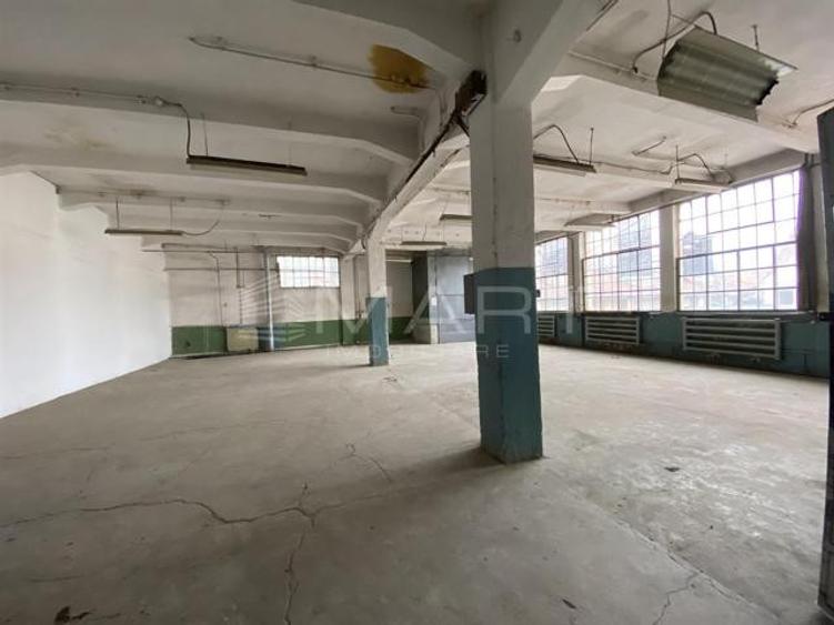 Spațiu industrial, de 50 mp, în Cisnădie