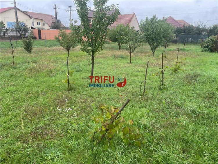 Teren intravilan de 1220 mp, în Micești