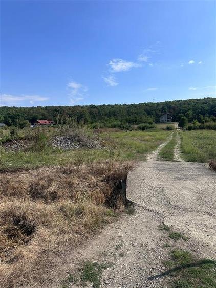 Teren Construcții intravilan de 740 mp, în Dumbrava (Ciurea)