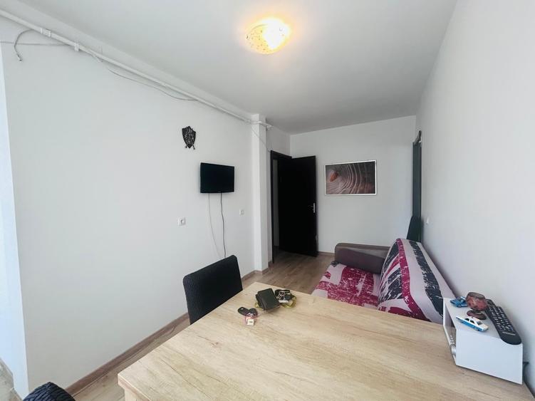 Apartament de o camera/ SUBCETATE/ PARC POLIGON - 9