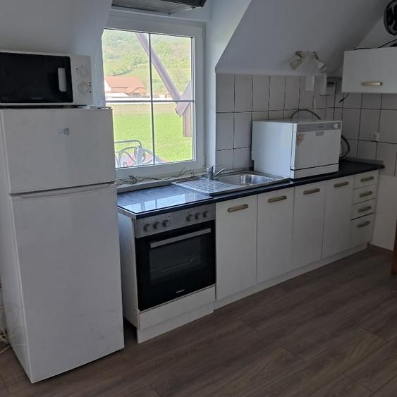 Casă cu 2 camere cu Teren 100 Mp în Hetiur