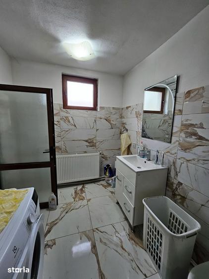 Casa cu 1566 mp teren in sat Mandruloc, com. Vladimirescu, jud. Arad - 10