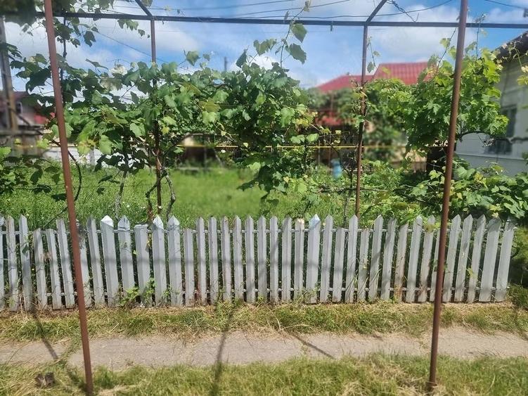 Casă cu Teren 1600 Mp în Colonești