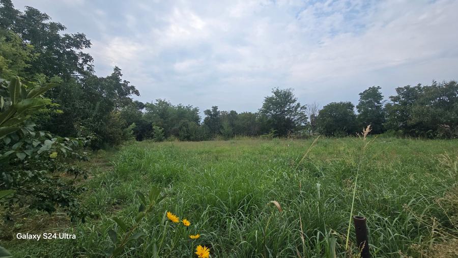 Teren Construcții intravilan de 1584 mp, în Lilieci