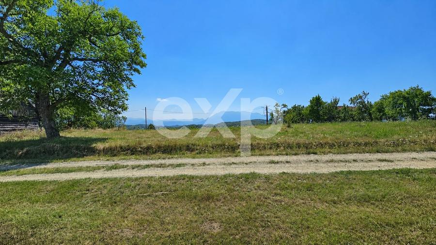 Teren Construcții extravilan de 3000 mp, în Poiana Mărului