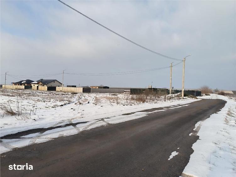 Teren de 5000 mp, în Dărăști-Ilfov