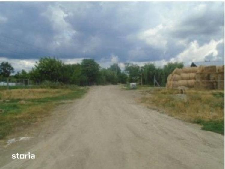 Teren de 7500 mp, în Vrancea