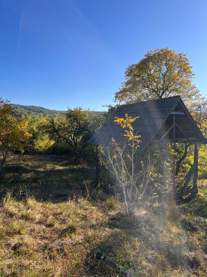 Spațiu comercial, în Văleni