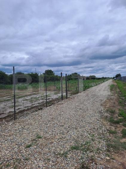 Teren Construcții extravilan de 800 mp, în Careiului