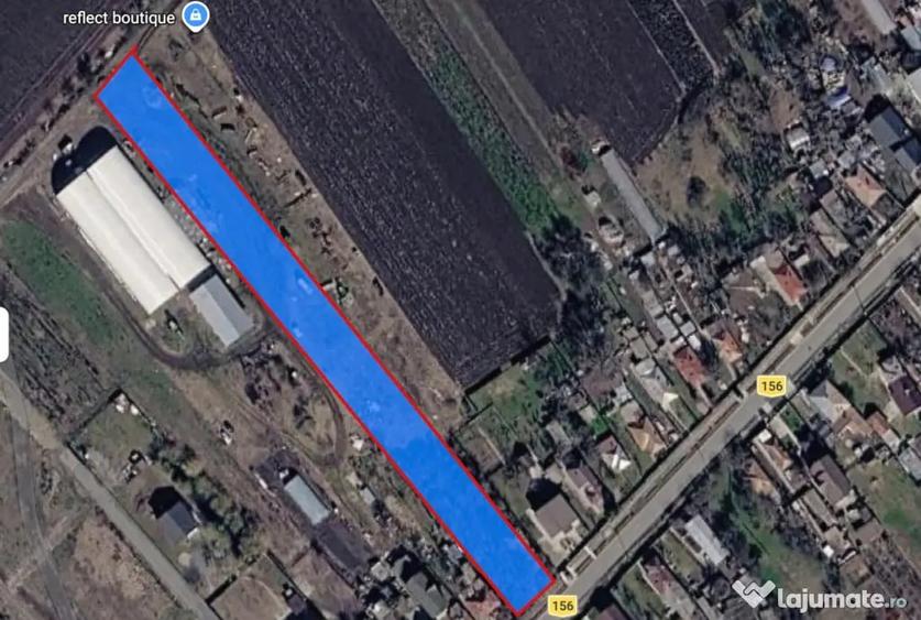 4500 mp Tartasesti Baldana intre case, asfalt, gaze si curent - 6
