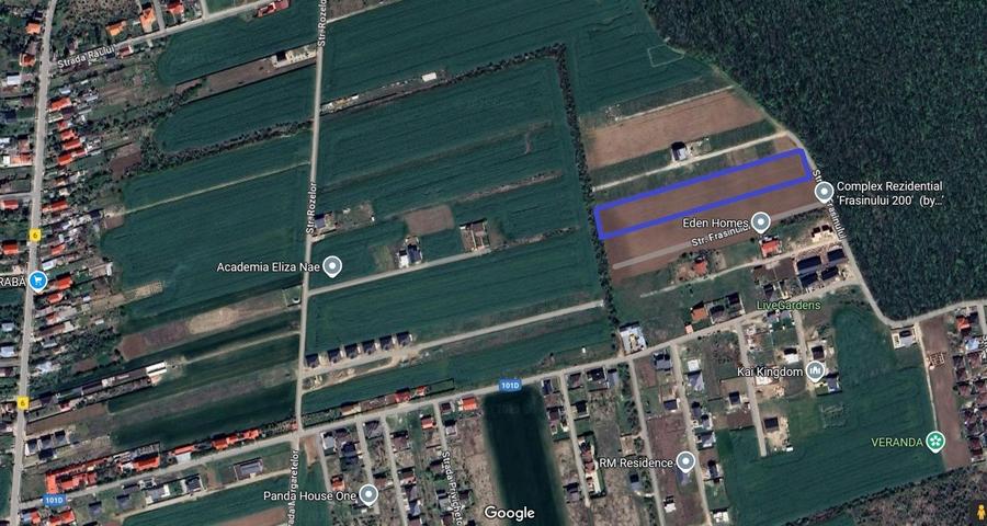 Teren Construcții intravilan de 8401 mp, în Balotești