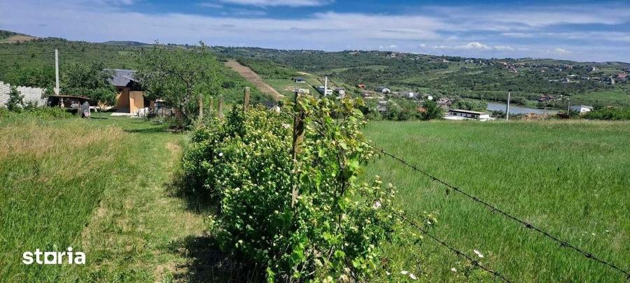 Casă cu 2 camere cu Teren 1500 Mp în Paleu