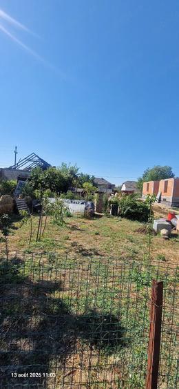 Teren de 500 mp, în Ciuperceni
