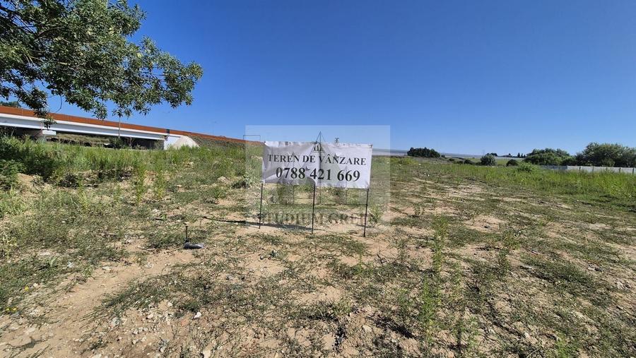 Teren Construcții intravilan de 14138 mp, în Cernica