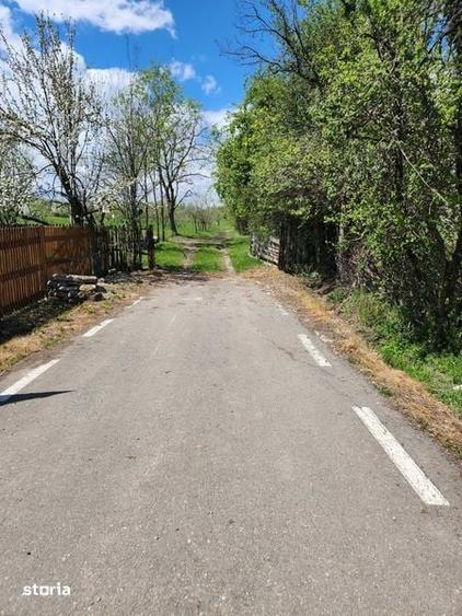 Teren de 16000 mp, în Lipănești