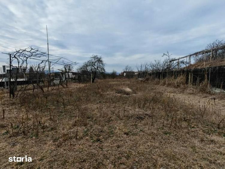 Teren de 1660 mp, în Letea Veche