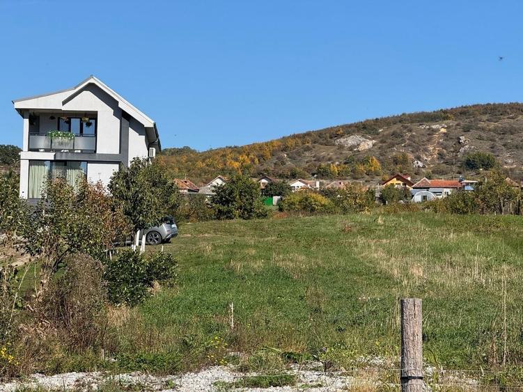 Teren Construcții intravilan de 3000 mp, în Betfia