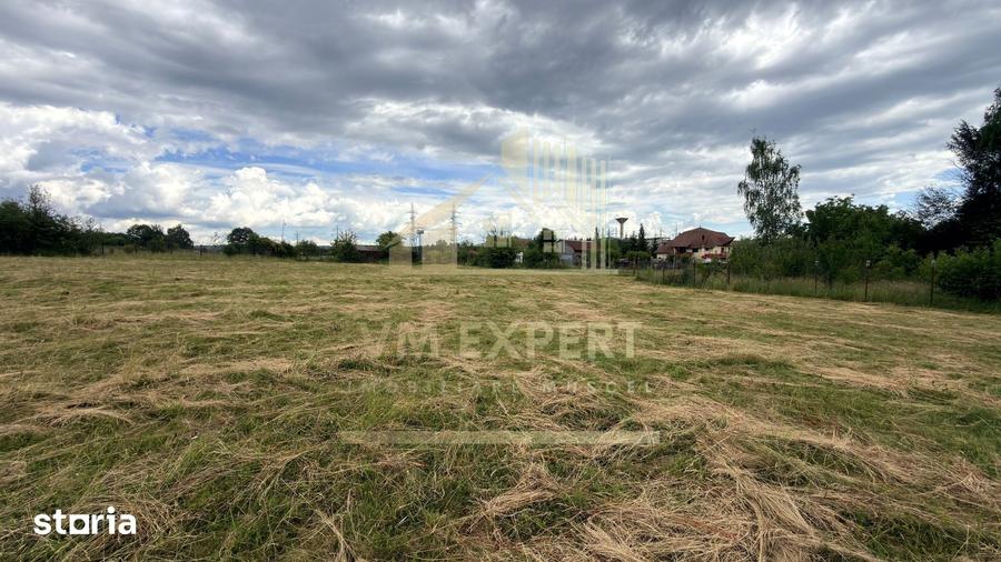 Casă cu 3 camere cu Teren 6997 Mp în Moieciu