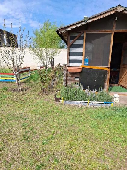 Teren de 550 mp, în Vânători