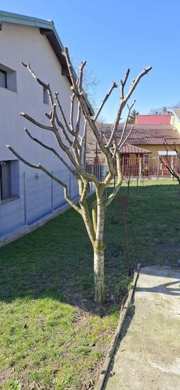 Casă cu 2 camere în Dâmbul Rotund