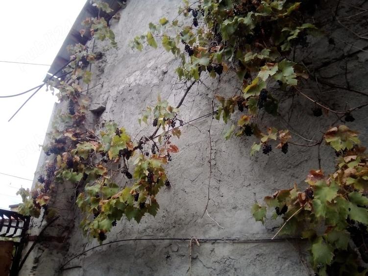 Casă cu 2 camere cu Teren 360 Mp în Crișan
