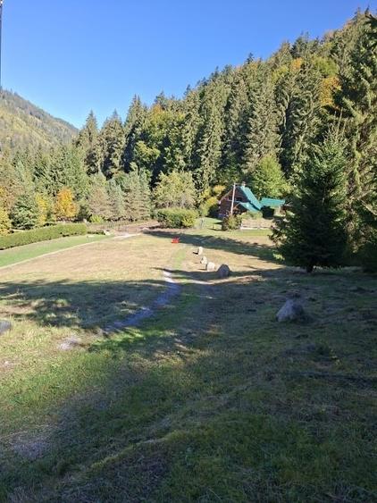 Teren intravilan de 2150 mp, în Lunca Bradului