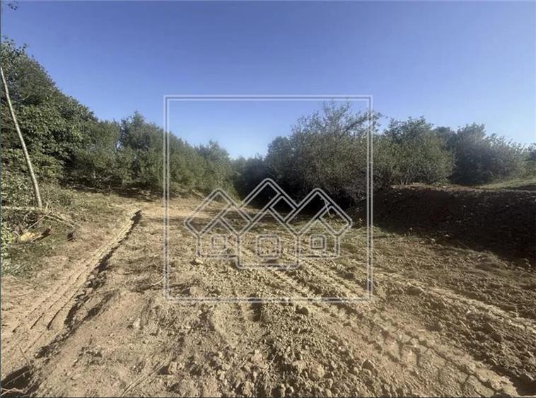 Teren agricol extravilan de 1200 mp, în Sibiel