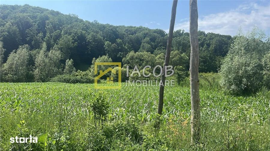 Teren de 3772 mp, în Mărgineni