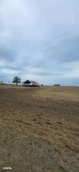 Teren de 32800 mp, în Central