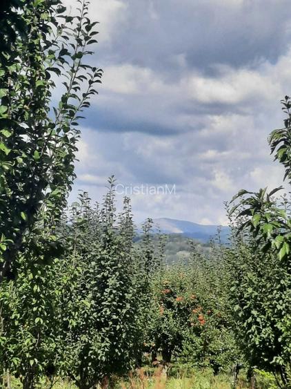 TEREN EXTRAVILAN 6.700 MP Miclosanii Mari, Dambovita | Potential pentru INVESTITIE TURISTICA