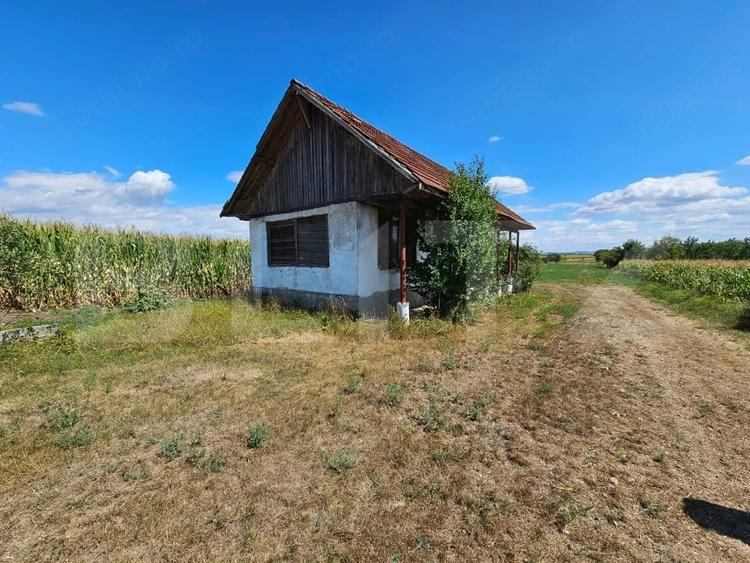 Casa de vanzare in Unirea, cu teren de 2.901 mp - 7