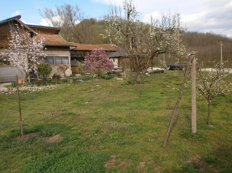 Teren de 120 mp, în Bâscenii de Sus