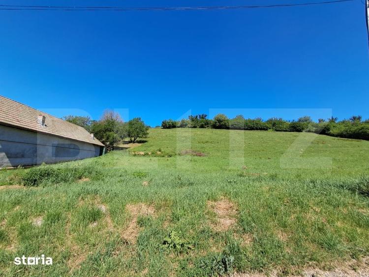 Teren de 9600 mp, în Criș