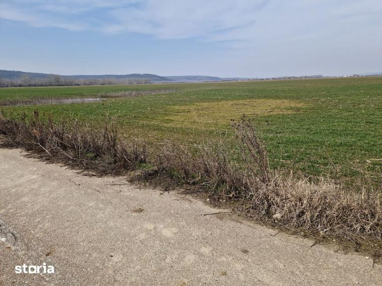 Teren de 3300 mp, în Șimnicu de Sus