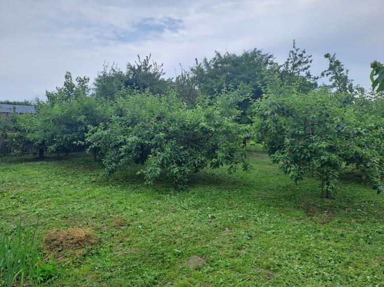 Teren Construcții intravilan de 4688 mp, în Central