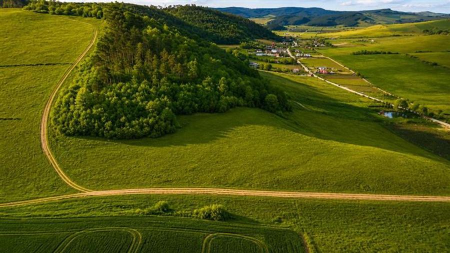 6.000 mp teren granitat de liziera compacta de padure, ecran natural de liniste, - 1