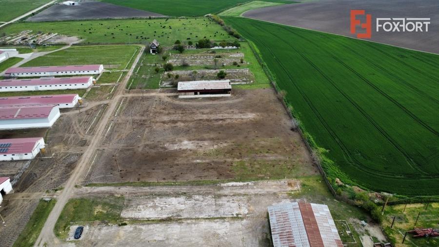 Teren Construcții intravilan de 58340 mp, în Peciu Nou
