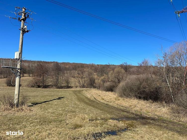 Teren de vanzare, 9.680 mp, comuna Deda, jude?ul Mure? - 1