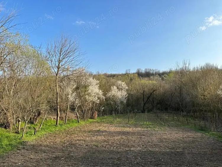 Teren de 1323 mp, în Vârvor