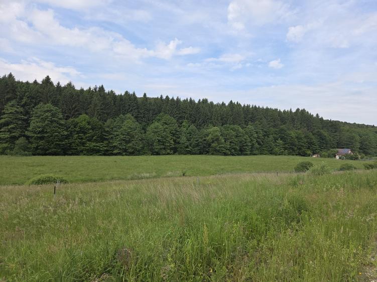 Teren de vanzare in Vladeni comuna Dumbravita judetul Brasov - 8
