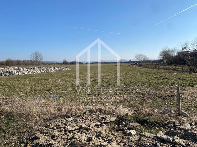 Teren agricol intravilan de 16310 mp, în Rusciori