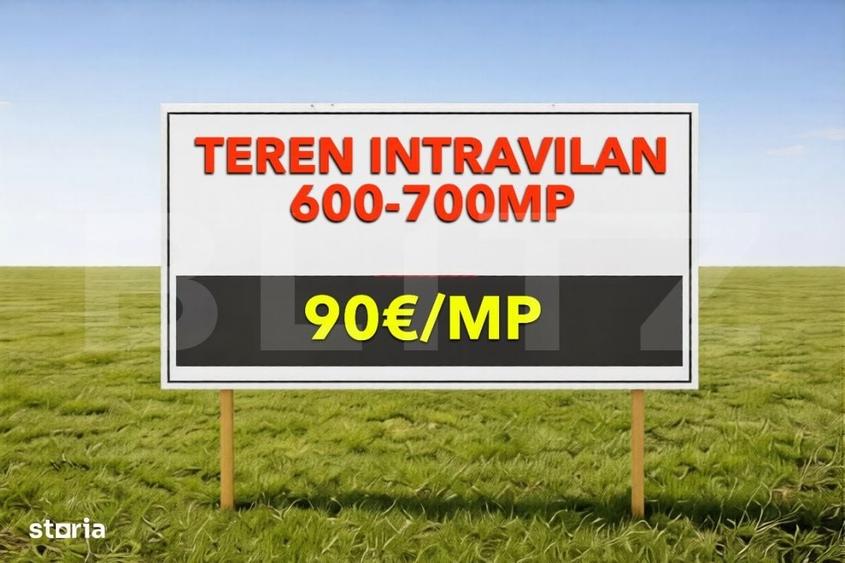 Spațiu comercial, în Moșnița Nouă