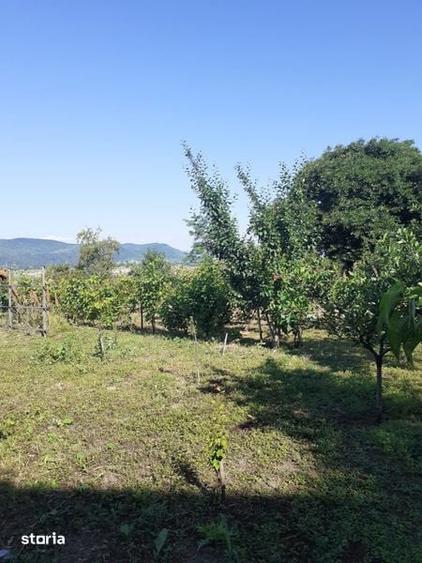 Casă cu 4 camere cu Teren 950 Mp în Berca