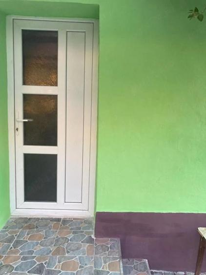 Vand casa cu teren de 18 arii in Sanpetru Almasului - 8
