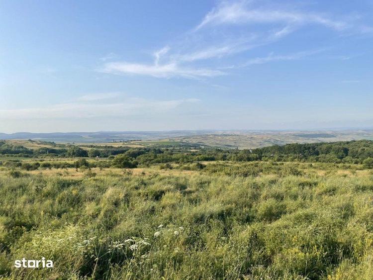 Teren 1000 mp, zona Rogojel, poalele Vladesei, Panorama montana de vis - 1