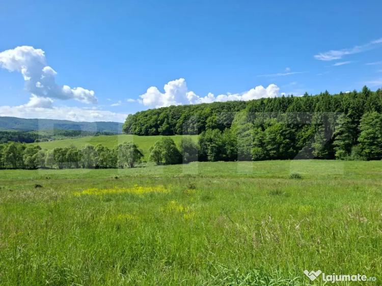 Teren în Dumbrăvița