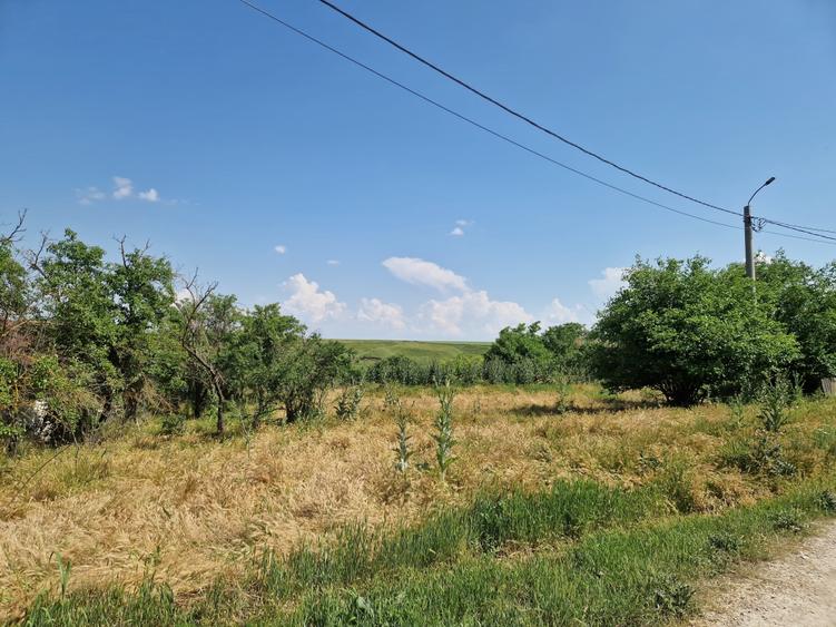 Teren Construcții intravilan de 532 mp, în Polcești