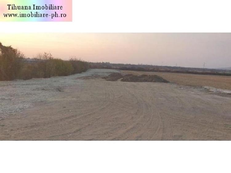 Teren Construcții intravilan de 618 mp, în Bucov
