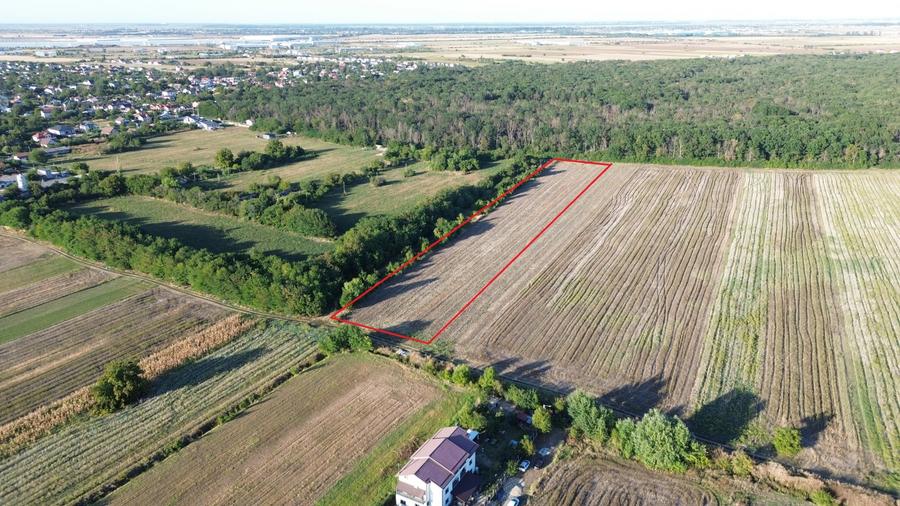 Teren Construcții intravilan de 9000 mp, în Bolintin-Deal