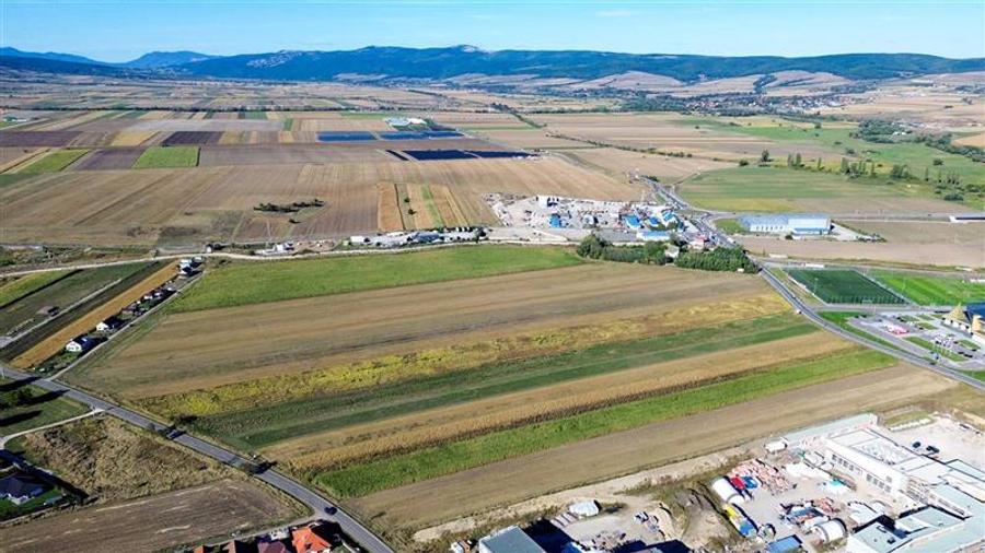 Teren extravilan de 15000 mp, în Arcuș